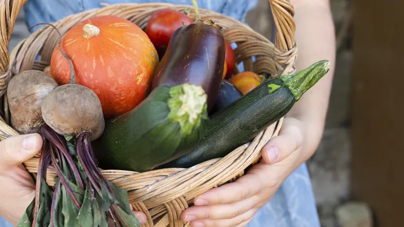 Dos manos sostienen una cesta de mimbre con verduras recién recogidas