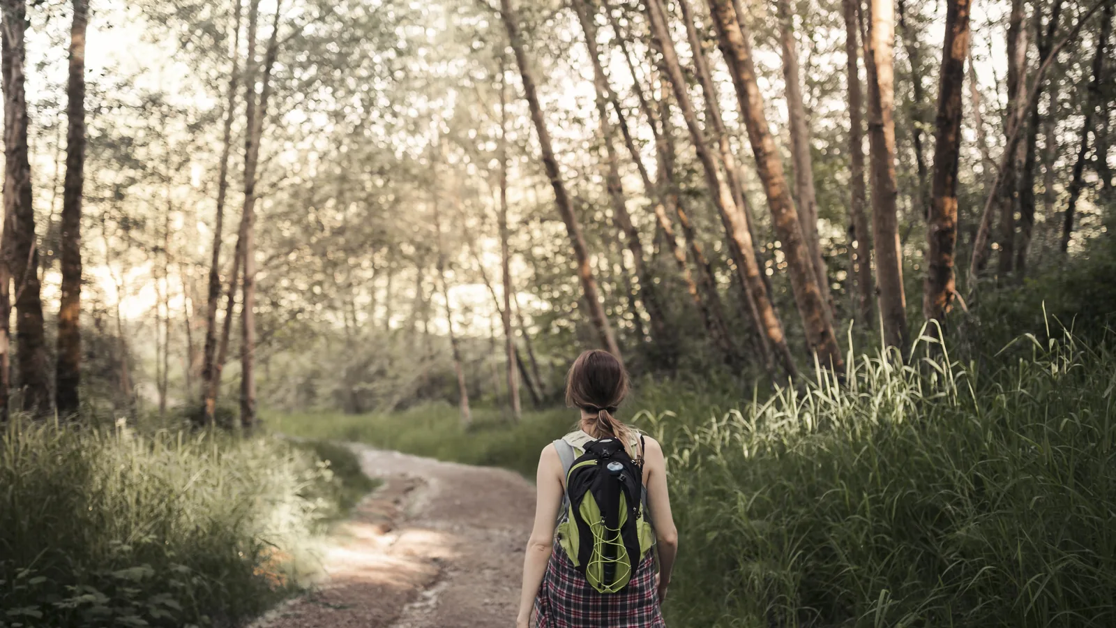 Mujer camina por un sendero soleado del bosque