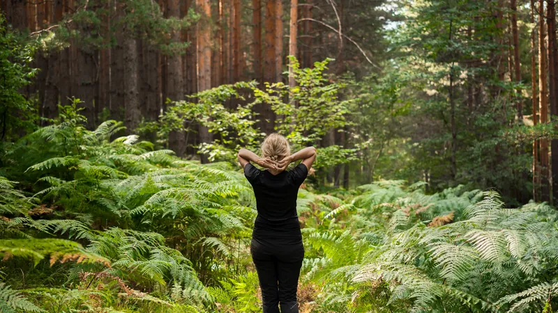 Mujer camina por un sendero del bosque entre helechos
