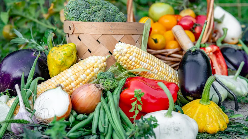 Verduras frescas en una cesta delante de un huerto